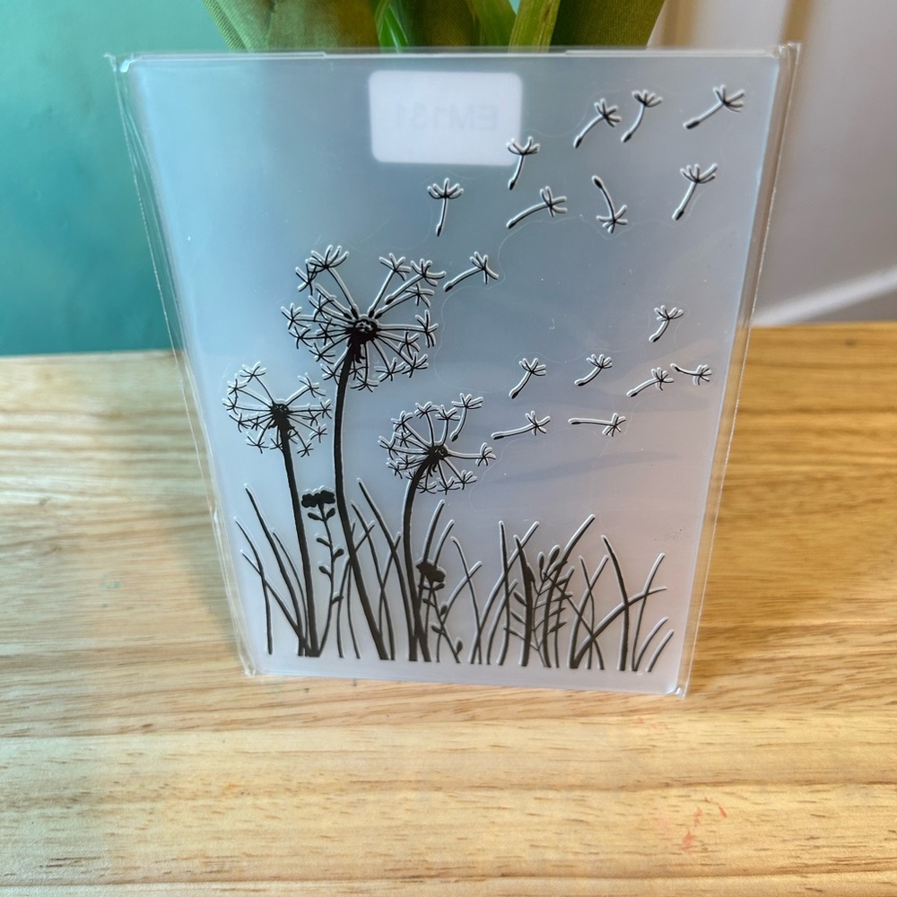 Decorative Embossing Folders Set - Black and White Designs - Picture 5 of 6